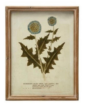 Wood Framed Glass Wall Décor w/ Botanical, Multi Color