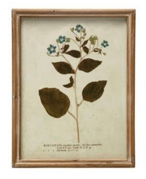 Wood Framed Glass Wall Décor w/ Botanical, Multi Color