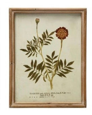 Wood Framed Glass Wall Décor w/ Botanical, Multi Color