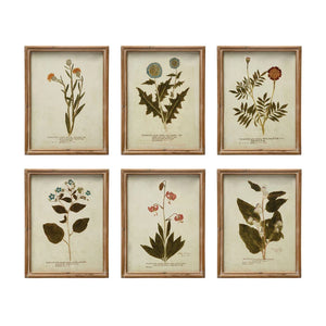 Wood Framed Glass Wall Décor w/ Botanical, Multi Color
