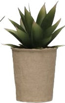 Faux Succulent in Paper Pot