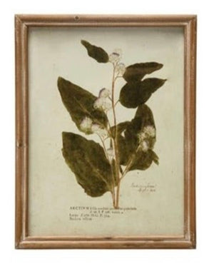 Wood Framed Glass Wall Décor w/ Botanical, Multi Color