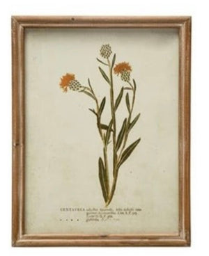 Wood Framed Glass Wall Décor w/ Botanical, Multi Color