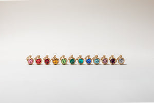 February Birthstone Interchangeable Charm