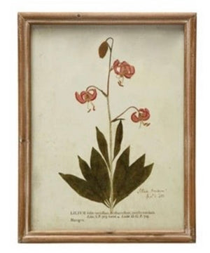 Wood Framed Glass Wall Décor w/ Botanical, Multi Color