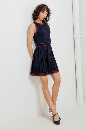 BERRY STRIPE SWEATER MINI DRESS