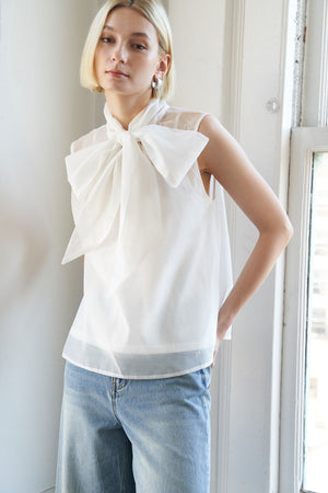 Shine for US Organza Top