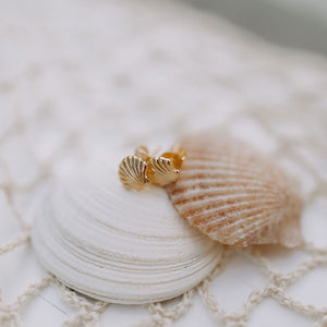 Sea Shell Studs