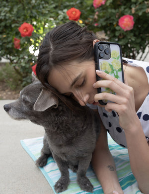 Yellow Roses iPhone Case