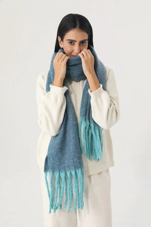 Women Gradient Tassel Thick Knit Soft Warm Winter Wrap 🧣🎨 Leto Collection