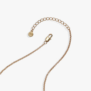 'A Reader Lives A Thousand Lives' Book Club Locket Pendant