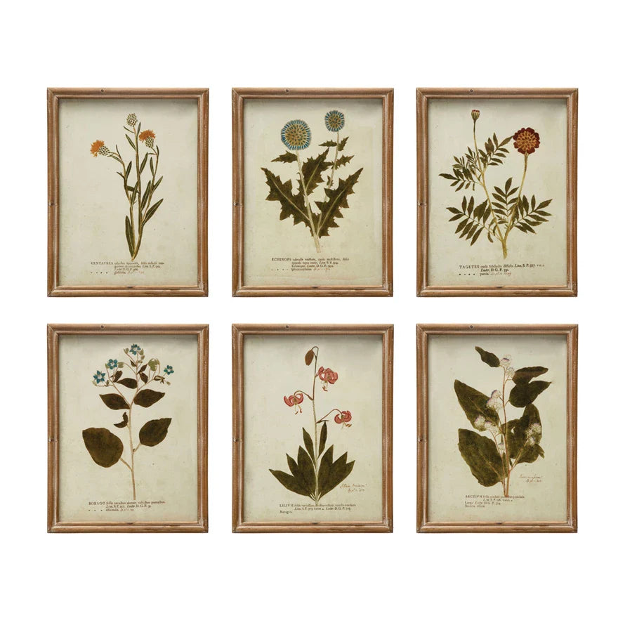 Wood Framed Glass Wall Décor w/ Botanical, Multi Color