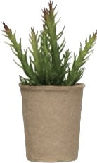 Faux Succulent in Paper Pot