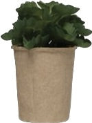 Faux Succulent in Paper Pot
