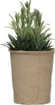 Faux Succulent in Paper Pot