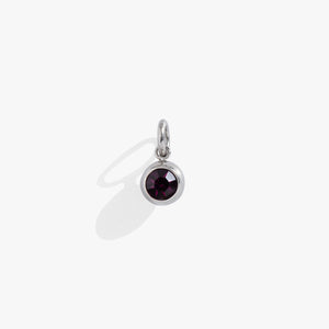 February Birthstone Interchangeable Charm