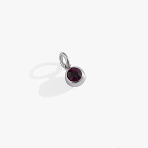 February Birthstone Interchangeable Charm