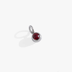 January Birthstone Interchangeable Charm