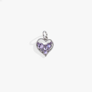 Crystal Heart Interchangeable Charm