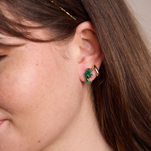 North Dakota State University Bison Studs