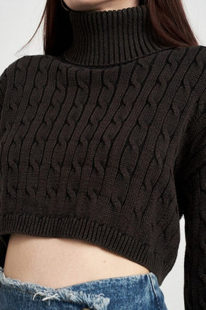 TURTLE NECK CABLE KNIT CROP TOP Emory Park 