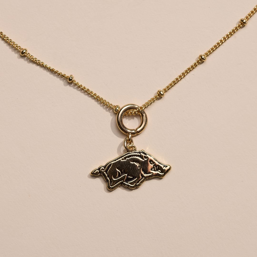 University of Arkansas Razorback Charm
