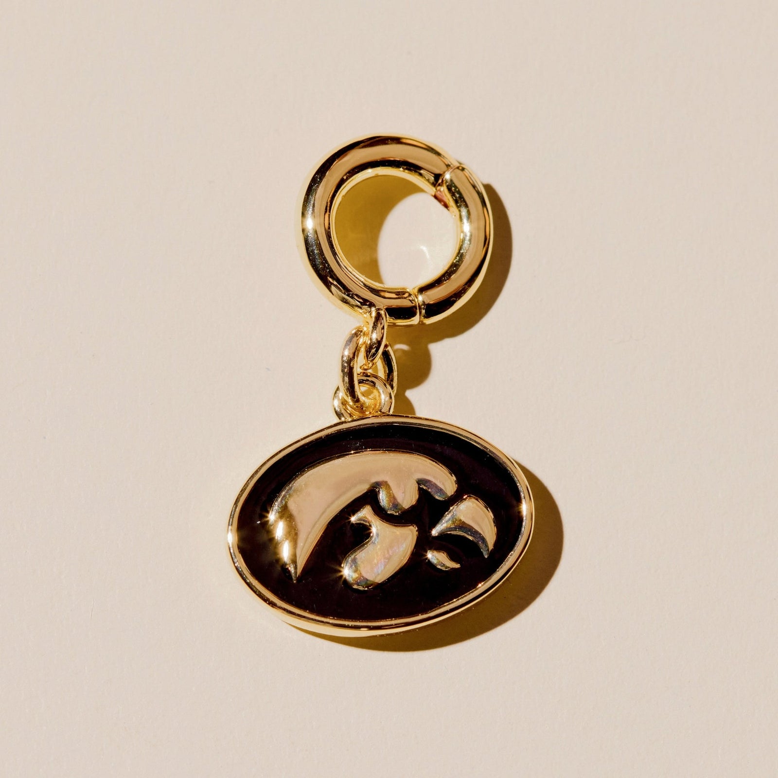 University of Iowa Tigerhawk Charm