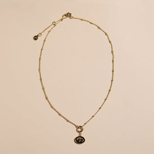 University of Iowa Tigerhawk Charm Necklace