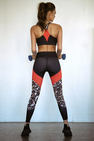 Cheetah Print Active Colorblock Sports Bra Yelete 